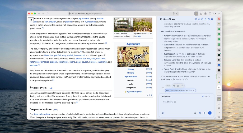 Oasis assistant with sky theme on a Wikipedia page